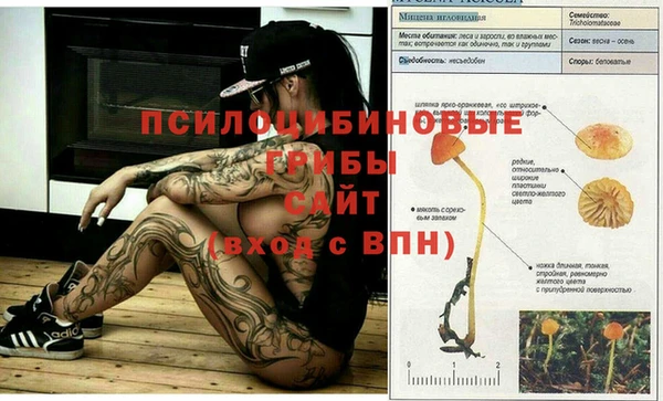 стафф Навашино