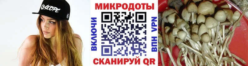 где найти наркотики  Ростов-на-Дону  omg сайт  Псилоцибиновые грибы MAGIC MUSHROOMS 