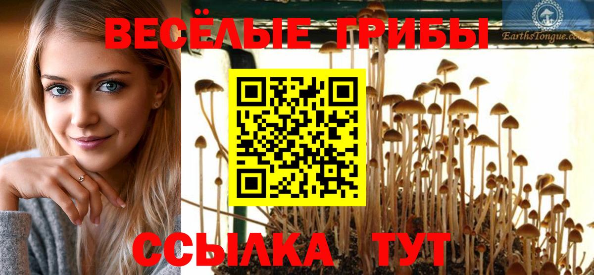 Ростов-на-Дону  Галлюциногенные грибы прущие грибы  Вход с VPN 